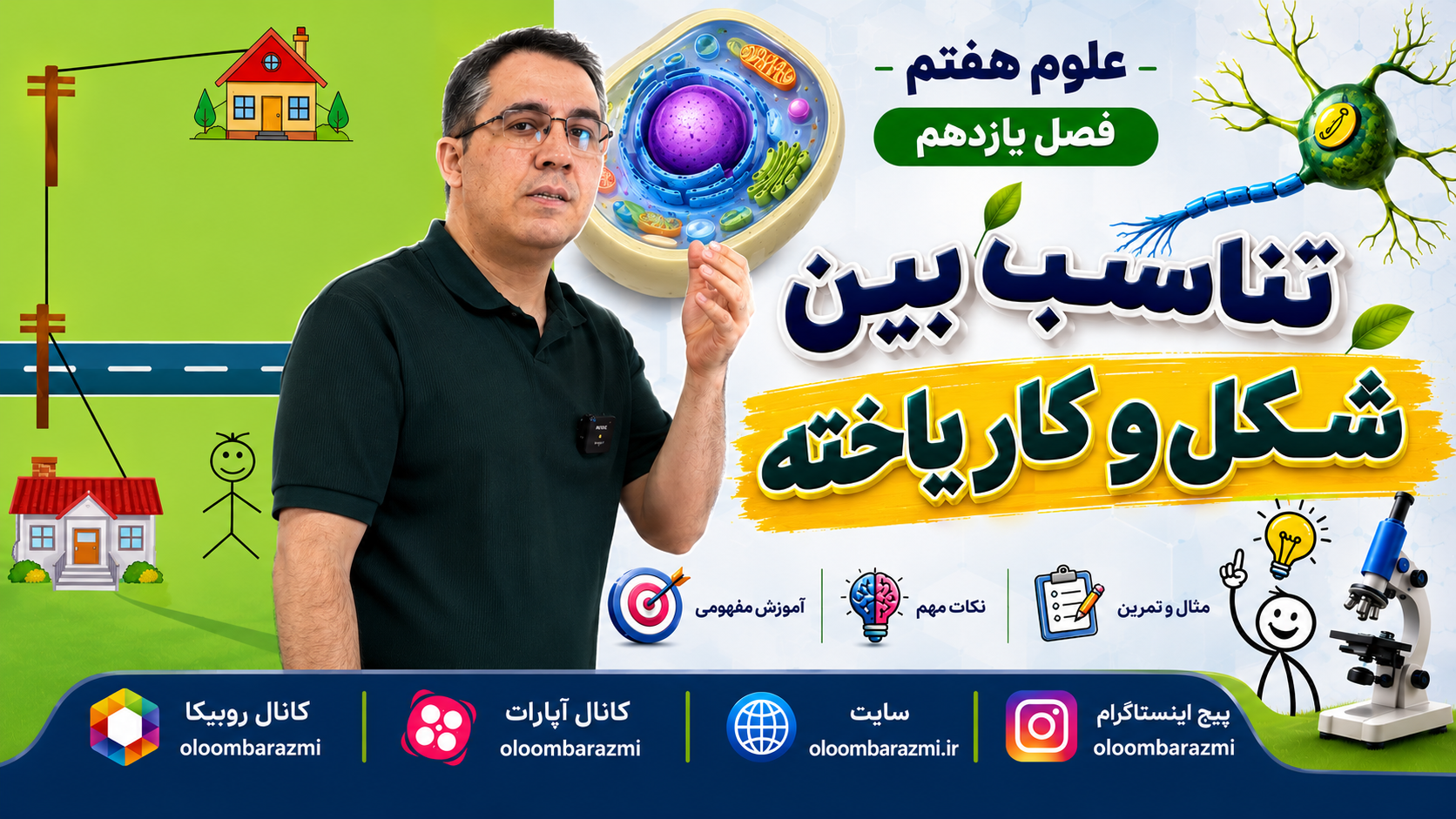 تناسب بین شکل یاخته و کار آن - علوم هفتم فصل یازدهم
